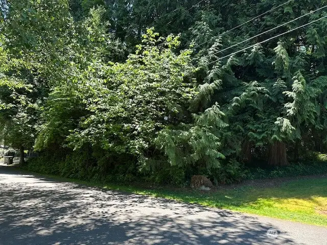 The view of the parcel that is across the street from the water front section.
