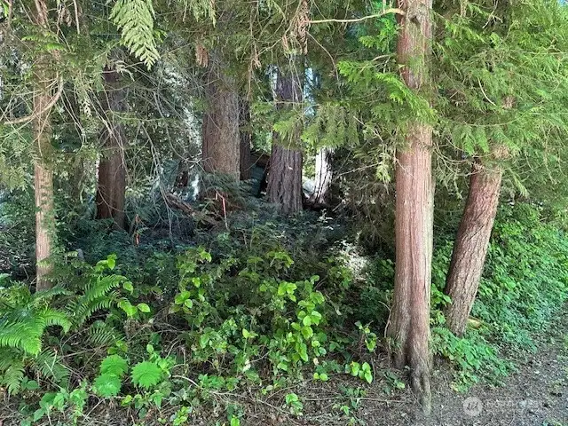Another view of the property.