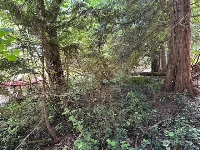 and another view!