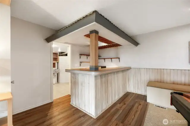 Fun Wet bar