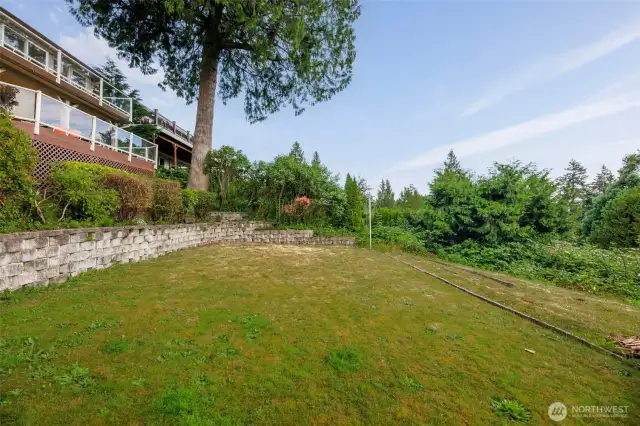 Spacious area in the backyard