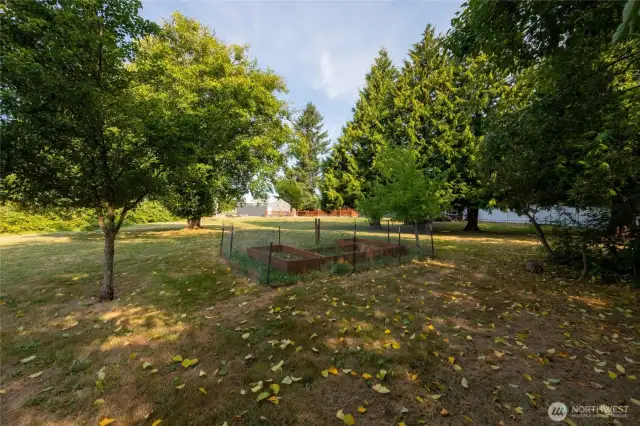 Backyard with raised garden beds and fruit trees