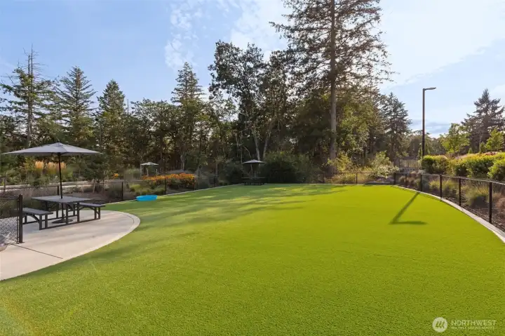 fenced dog park area