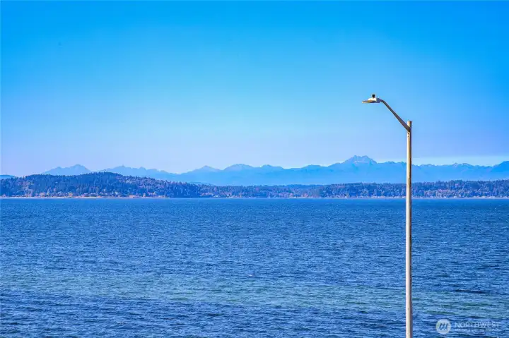 view North from deck