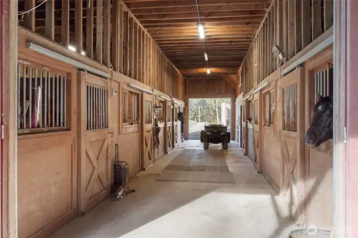 Open the sliding doors to find a drive thru isle way. Tack your horse up and get ready to ride! Power outlets easily accessible and a tack room conveniently located at the end of the isle way.