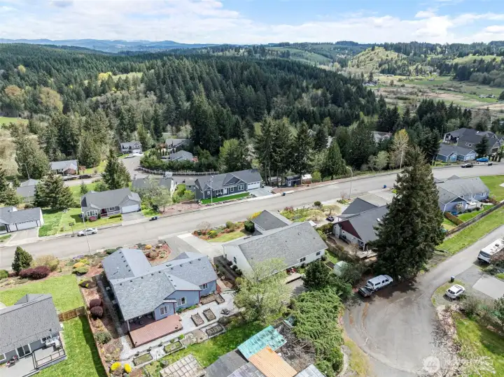 Lots of trees and views from here.