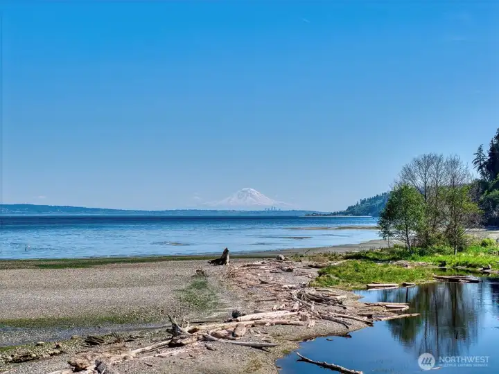 Your beach, with a view of "THE mountain." Oh hello Mt. Rainier and Seattle skyline!