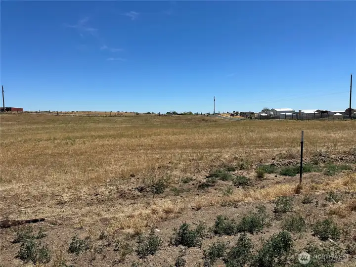 Back field