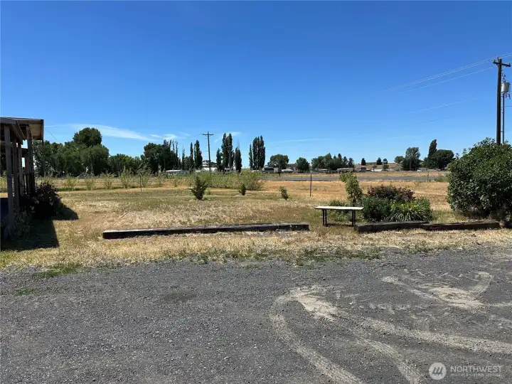 Front yard
