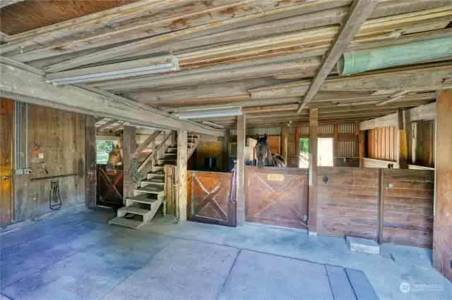 Plenty of room in the barn for your happy horses!  Two run-in stalls, tack room, hay room, and those stairs lead to the upstairs hay loft/storage area.