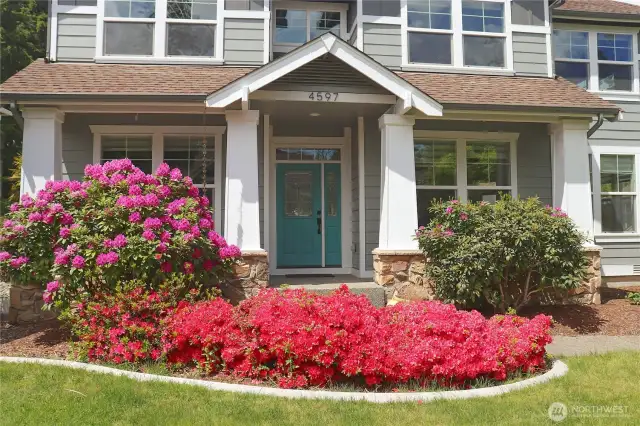 In spring, the azaleas and rhododendrons put on a show - bright, colorful blooms that add charm and a splash of cheer to the yard. A beautiful welcome home.