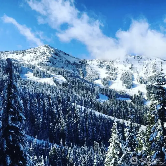 View of Crystal mountain