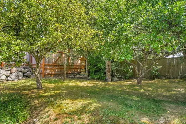 Enjoy fresh apples, pears, and plums from your own backyard.