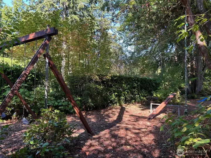 Community Playground