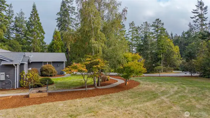 The lovely front lawn, with plenty of mature and varied species of trees.