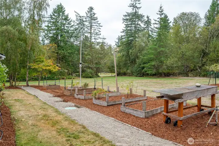 The raised garden beds in a lovely protected yet sunny location!