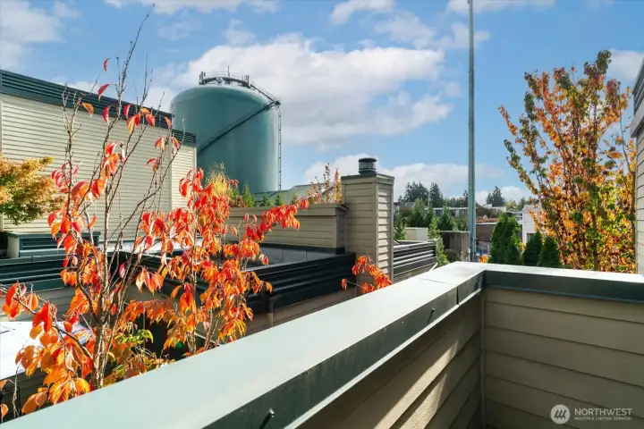Water tower view from private patio!