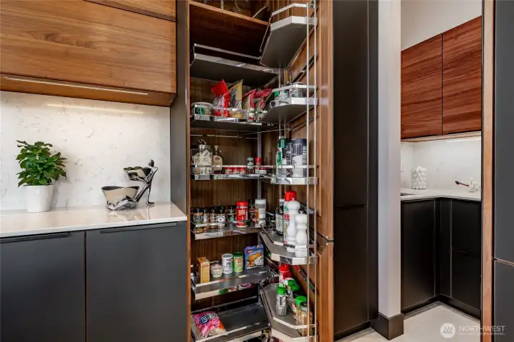 Spice rack and walk-in pantry.