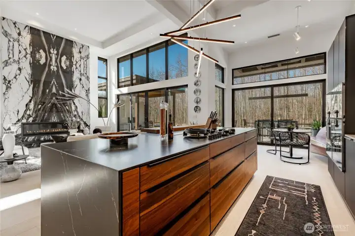 The island is Neolitch Pitt with Pitt gas cooktop. Gaggenau telescopic hood and elevates out of the island in lieu of a standard hood.