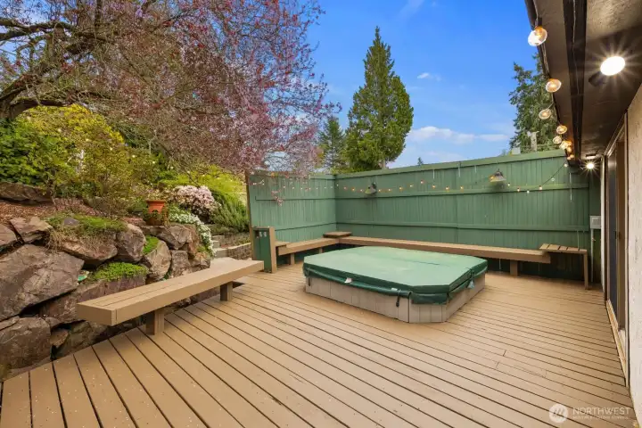 Gorgeous trees in bloom!