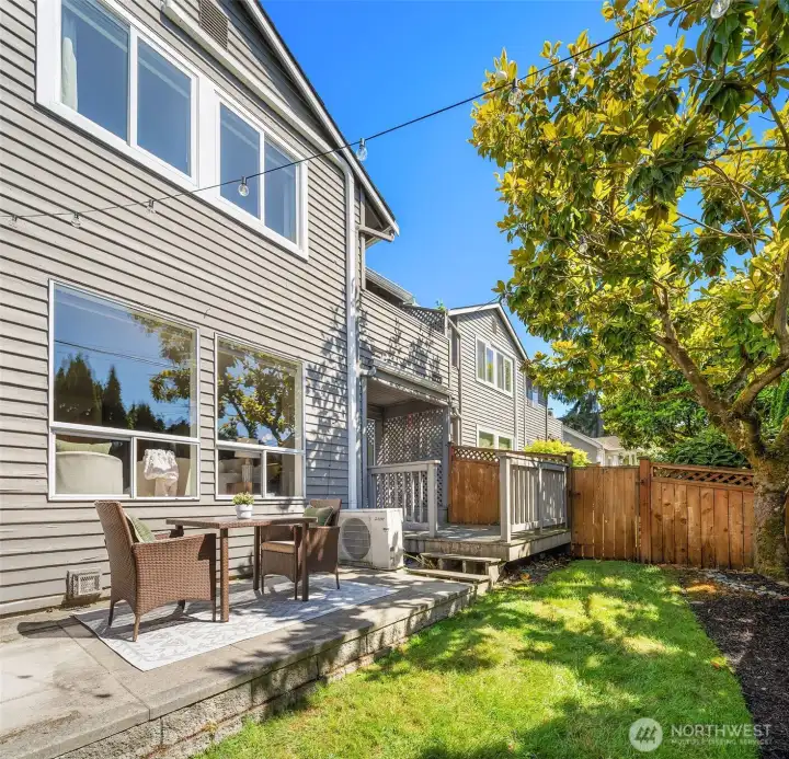 Sunny and bright back yard