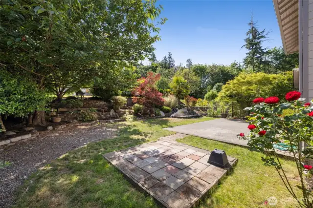 Back yard