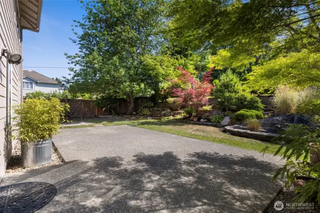 Back patio