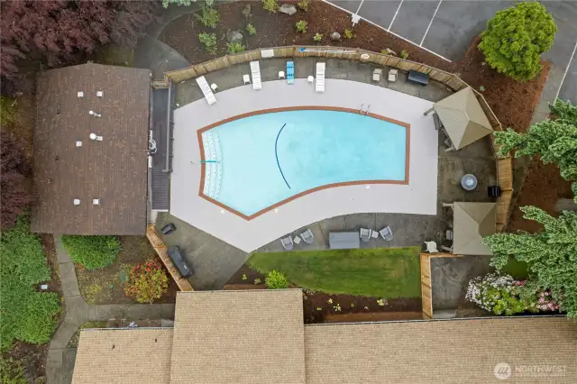 In ground pool!