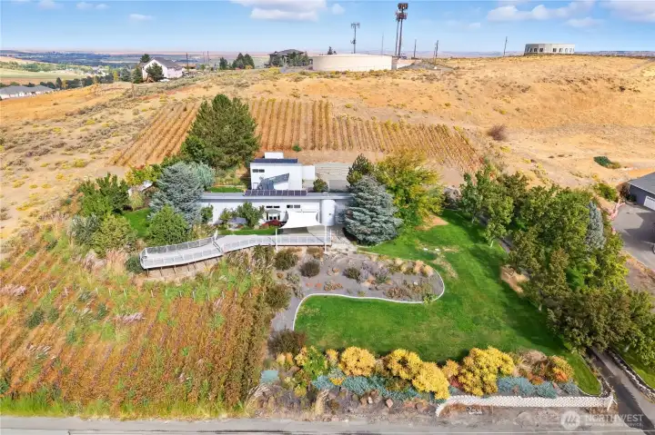 Breathtaking aerial view showcasing the home’s striking architecture, surrounding vineyard rows, and mature landscaping.