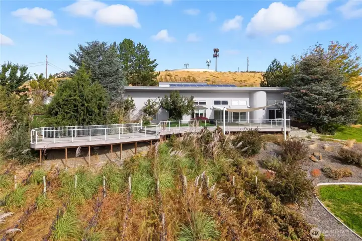 Modern exterior design framed by lush greenery and a wraparound deck — blending contemporary style with natural beauty.