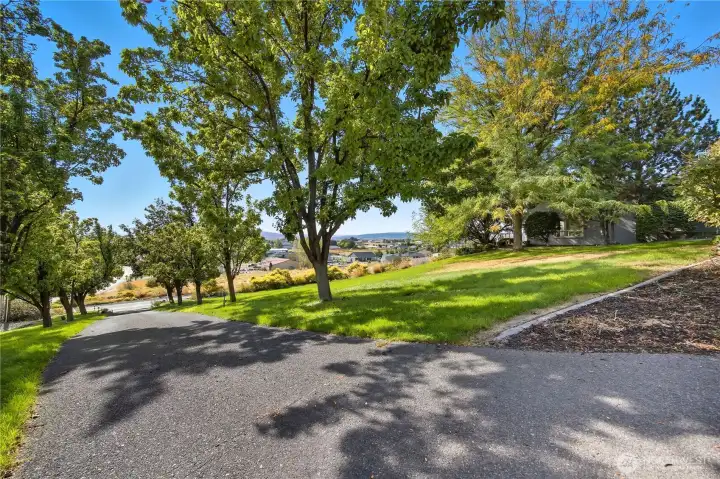 Driveway  Tree-lined driveway leads to the residence, offering both privacy and a stunning approach surrounded by mature landscaping and open views.
