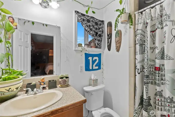 Bonus room bathroom