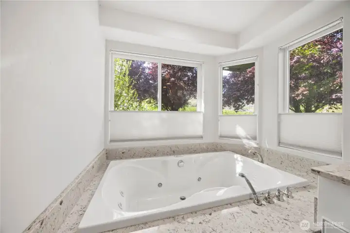 Large Soaking Tub