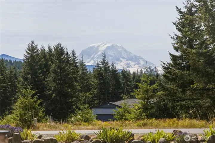 This is what you will see from your front porch!