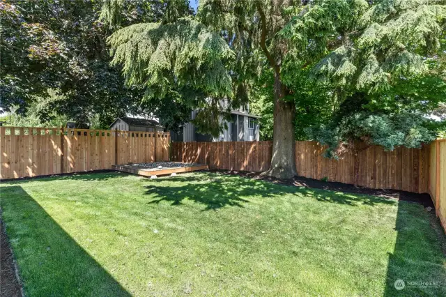 Another look at the space of this yard