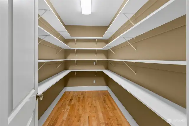 Huge Walk-in Pantry