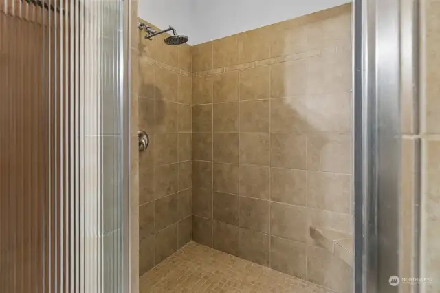 Primary Shower