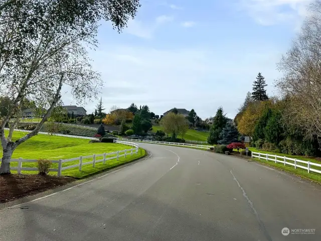 Cruising the Neighborhood