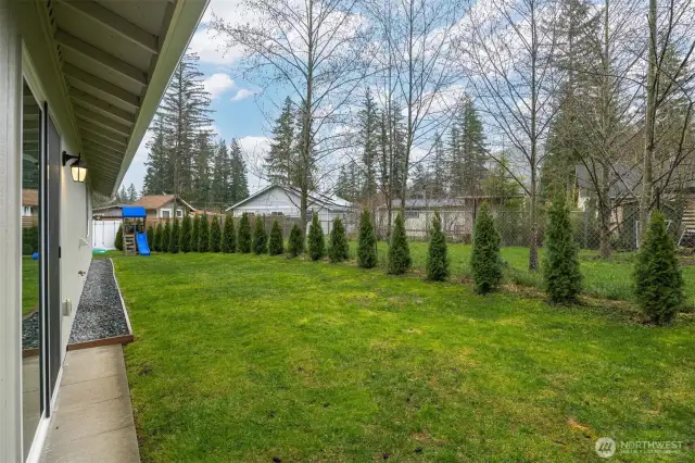 Backyard