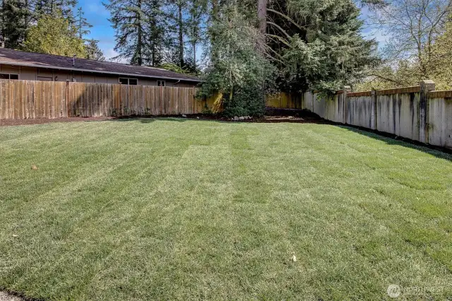 New lawns installed 2025