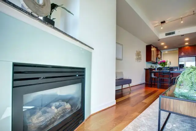 Gas fireplace