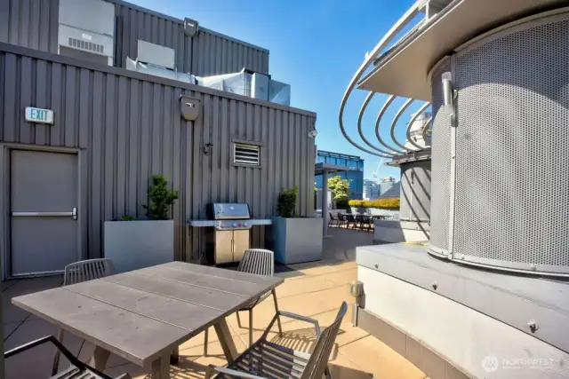 Terrace and BBQ