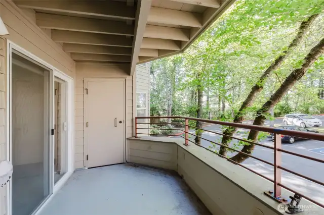 Deck door houses furnace