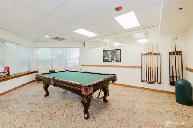Pool anyone?