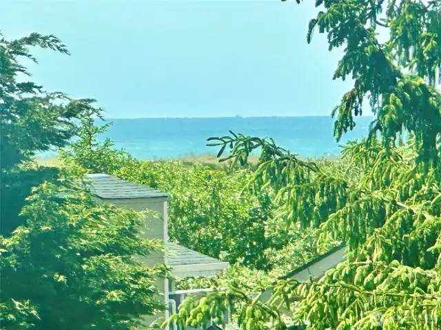 View from the tower
