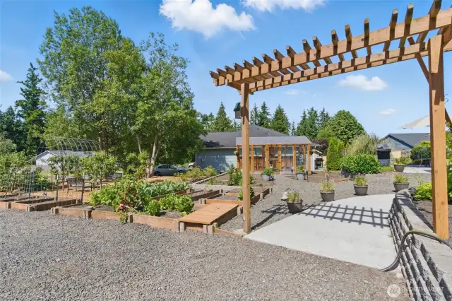 Trellaced garden