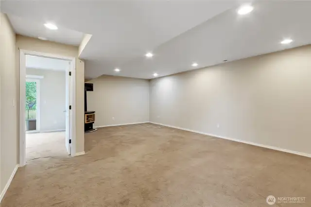 Family Room (Lower Level)