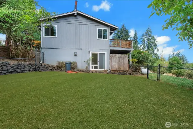 Backyard