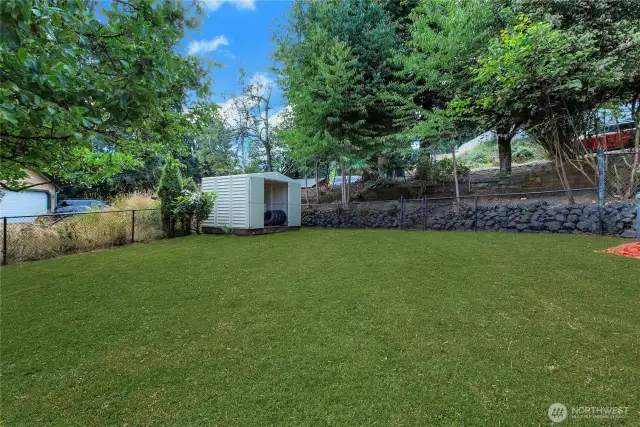 Backyard