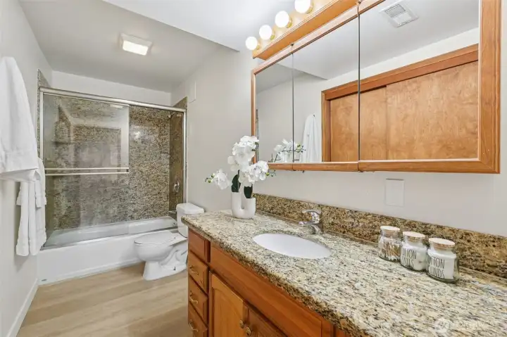 Lower level full bath